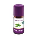 Biologische eucalyptus olie